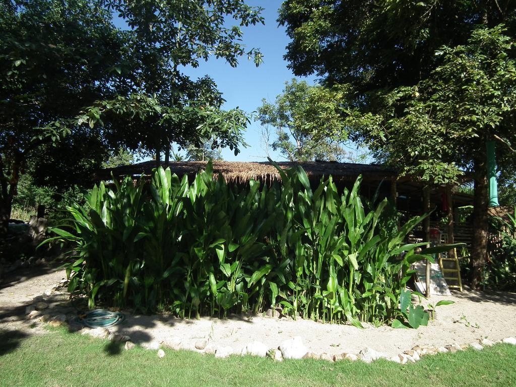 Pai Bamboo Hut Hotel Exterior foto