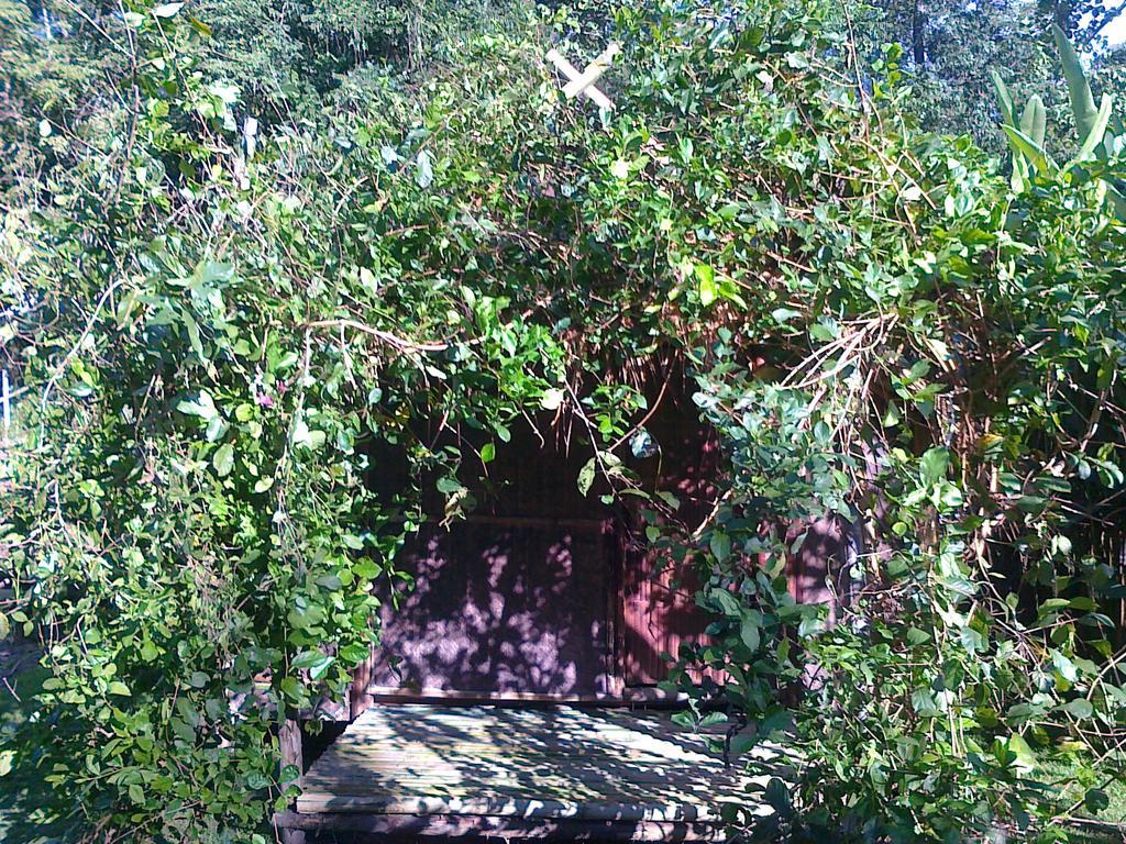 Pai Bamboo Hut Hotel Quarto foto